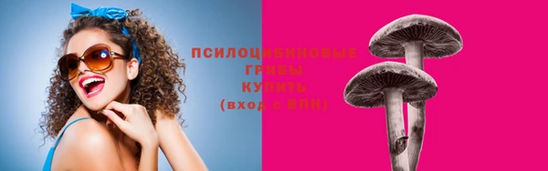 бошки Аркадак