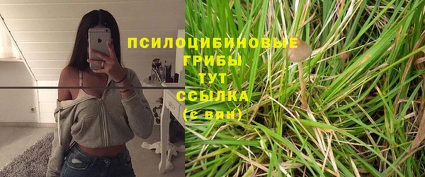 ПСИЛОЦИБИНОВЫЕ ГРИБЫ Армянск