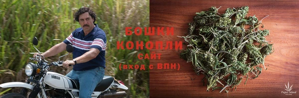 бошки Аркадак