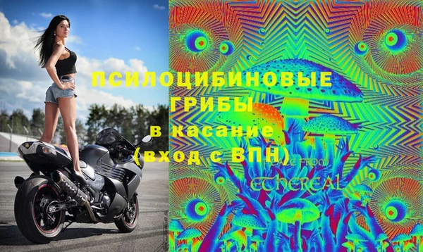 герыч Пестово